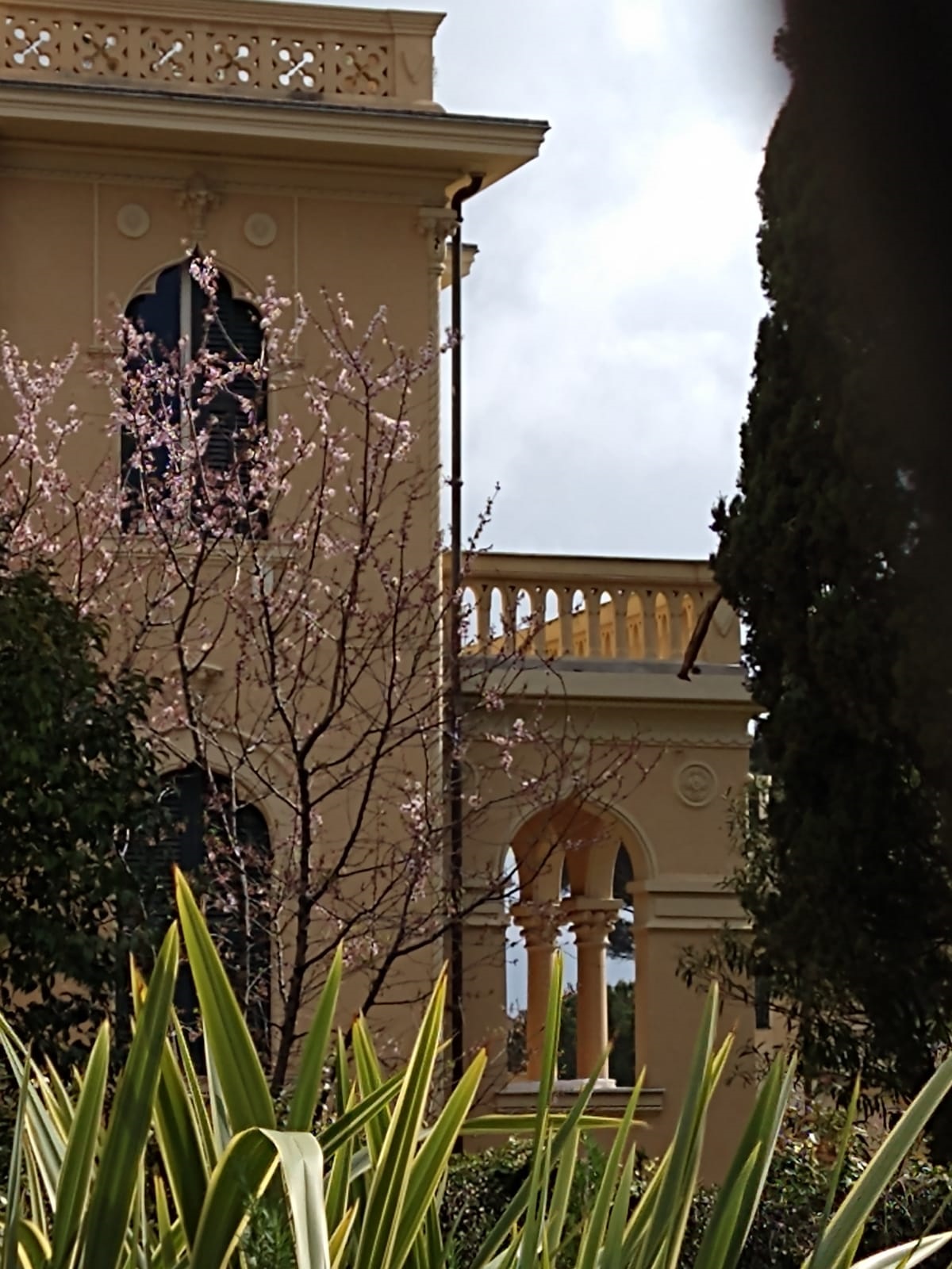 8. Oriental House