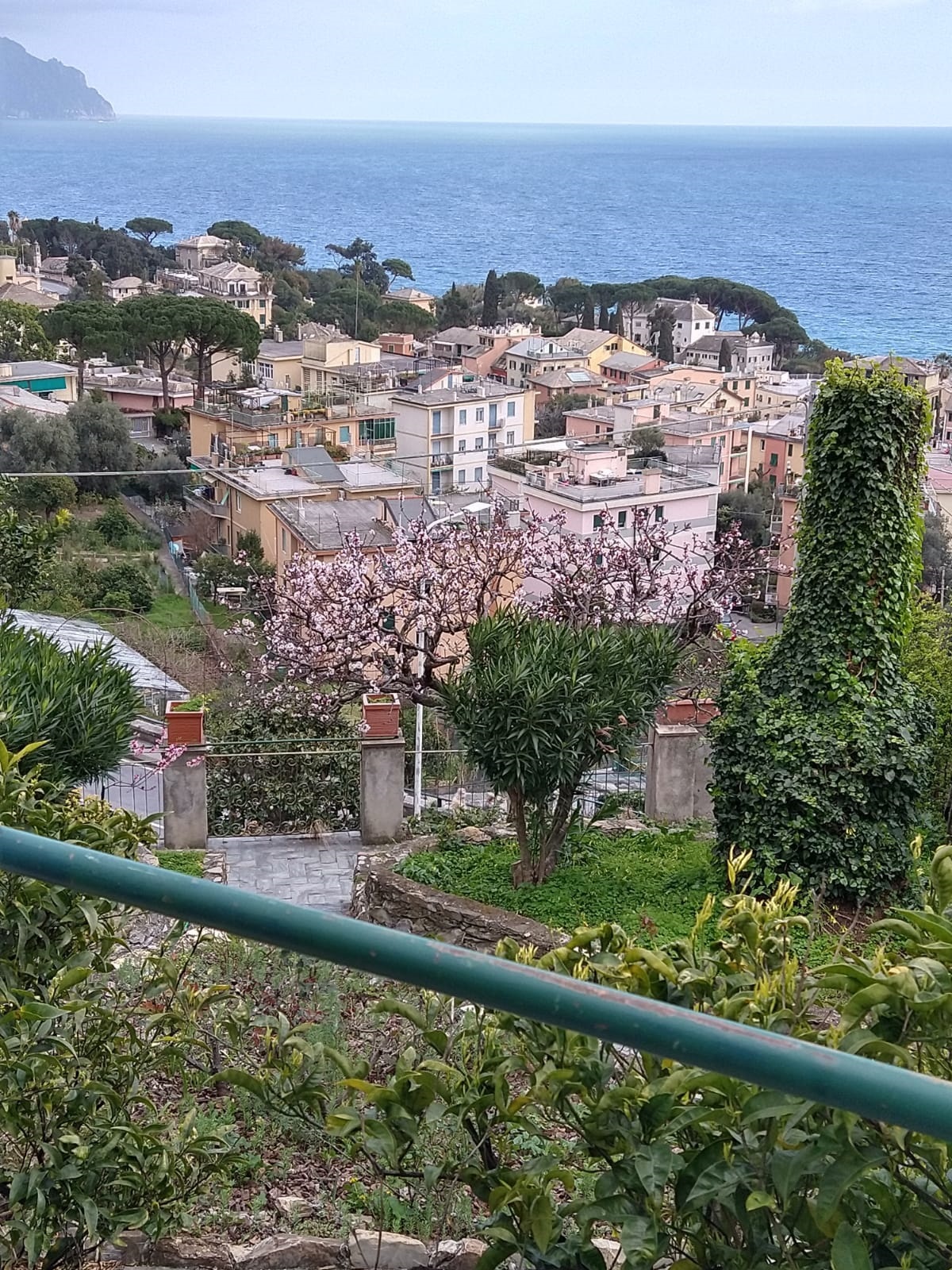 10. Seaside Neighborhood