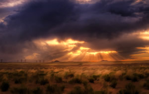 a savannah under heavy clouds and light shining through. 