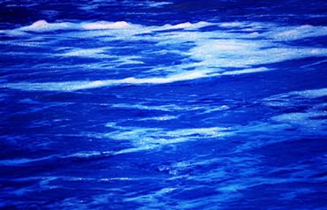 A picture of calm waters with foam on the surface.